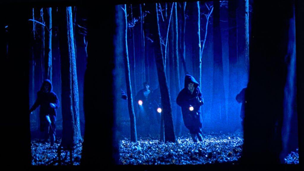 Ragazzi con torce in un bosco buio