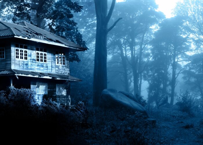 Casa isolata nel bosco avvolta dalla nebbia, atmosfera inquietante